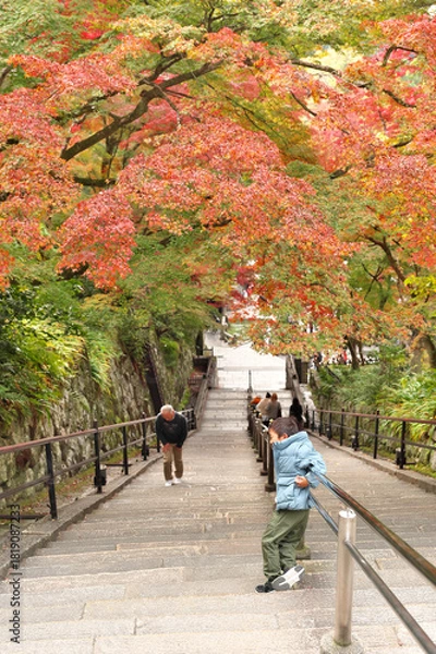Fototapeta 紅葉と少年
