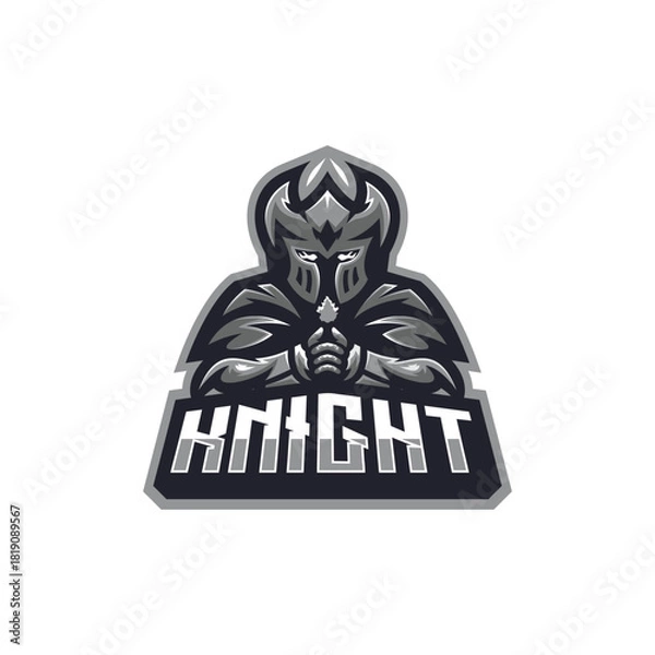 Obraz Knight E sport Vector Mascot Logo 