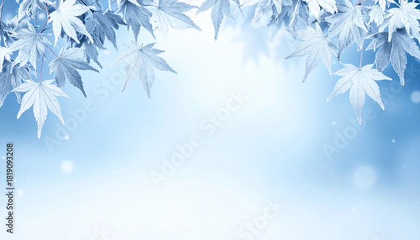 Obraz 霜のカエデ葉フレーム・冬の青白い世界