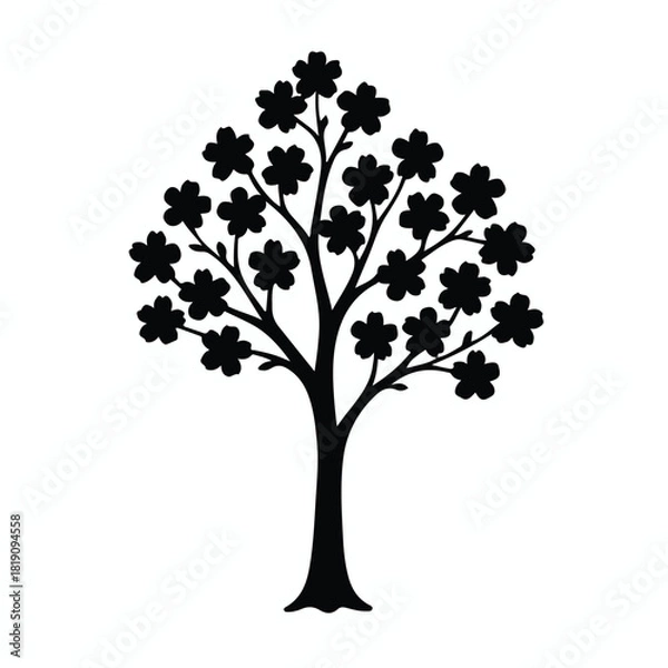 Fototapeta Cherry Blossom Branch Silhouette Isolated on White Background