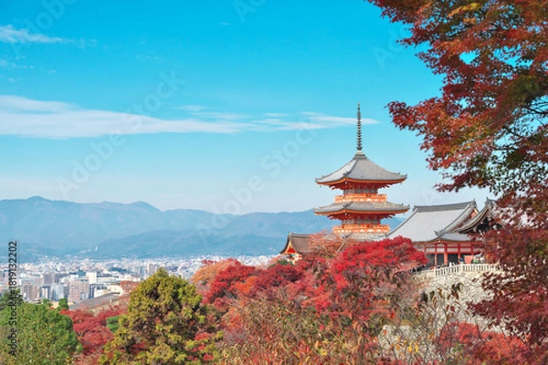 Fototapeta 清水寺