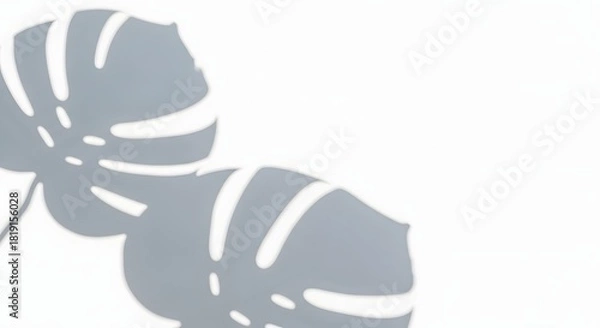 Obraz Soft Monstera Shadows on White: Tropical Minimalist Background