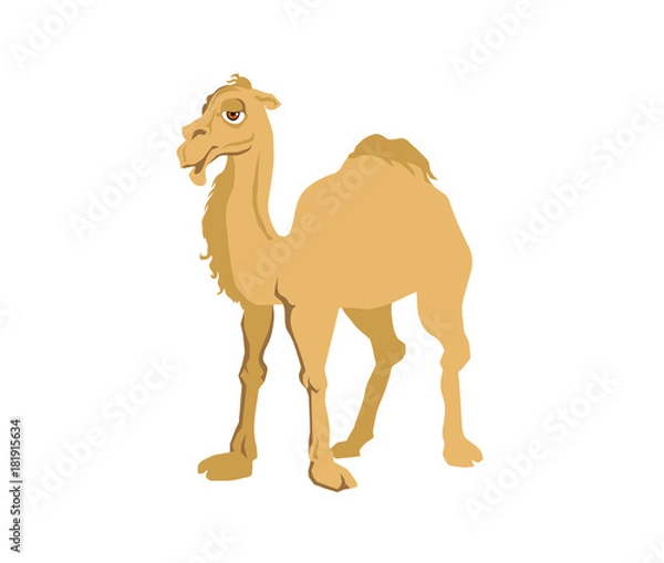 Fototapeta Cartoon Camel