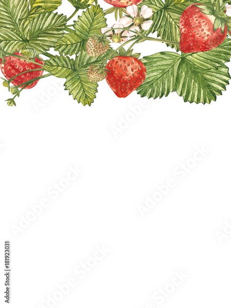 Fototapeta Vertical banners with ripe red berry strawberry on white background. Design for packaging, natural cosmetics, health care products. With place for text.