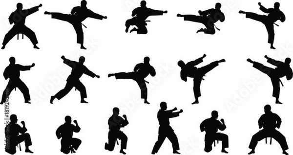 Obraz Set of martial arts silhouettes, karate fighter poses, taekwondo kicking action, black vector figures, self defense sport illustration collection.
