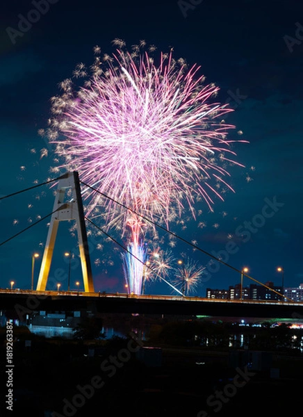 Obraz ひがよど祭りの花火大会