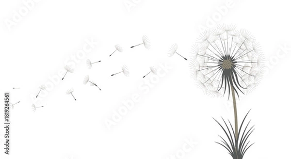 Fototapeta Delicate illustration of a dandelion with its seeds being carried away by a gentle breeze on a white background.