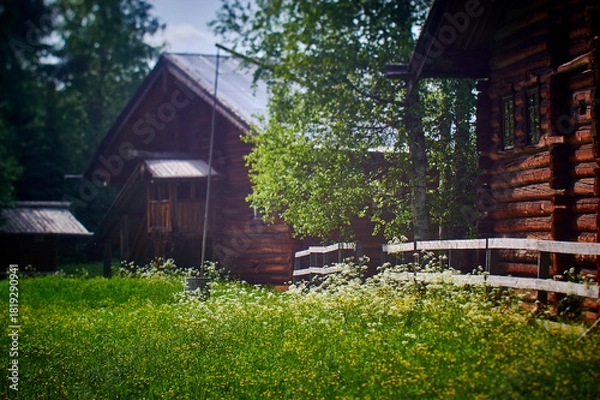 Obraz Russian Traditional , Malye Karely village