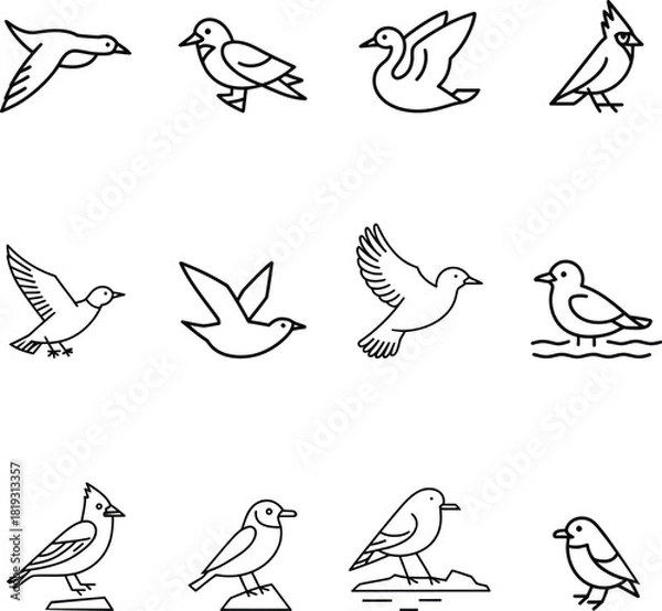 Fototapeta Collection of twelve black line art bird icons flying
