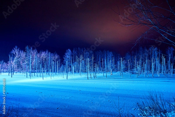 Obraz ライトアップされた美瑛白金の青い池
