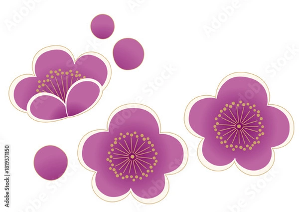 Obraz 紫の梅のイラスト