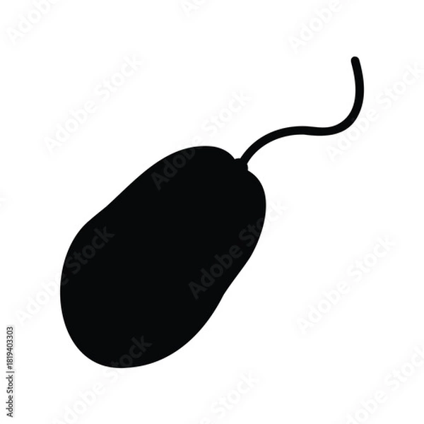 Fototapeta Black silhouette of a computer mouse isolated on a white background.