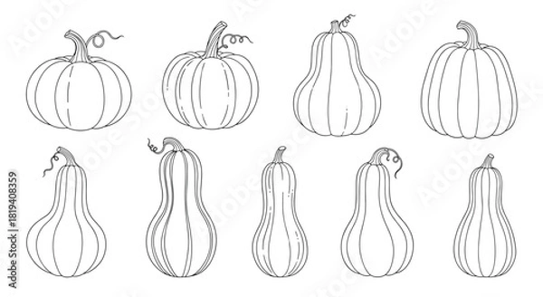 Fototapeta Hand-drawn line art illustrations featuring a variety of pumpkins and gourds, perfect for autumn harvest and holiday designs.