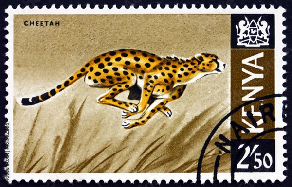 Fototapeta Znaczek pocztowy Kenia 1966 gepard, acinonyx jubatus, zwierzę