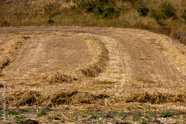 Fototapeta Alphabetic abstract of mown fields, Roccaraso, Abruzzo, Italy