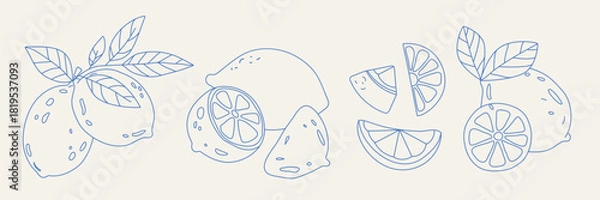 Fototapeta Lemon doodle set with slices and leaves