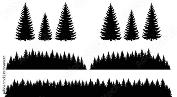 Fototapeta Collection of diverse evergreen tree and forest landscape silhouettes on white background