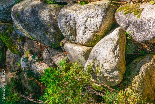 Fototapeta Natural stones and greenery create a peaceful backdrop along a garden wall in bright sunlight during midday