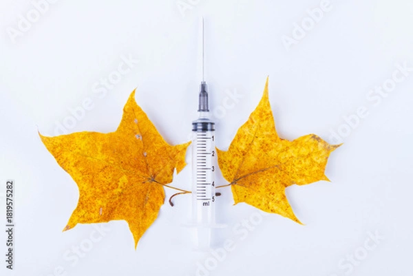 Fototapeta Autumn maple leaf and syringe with vaccine on white background. Vaccination against colds..