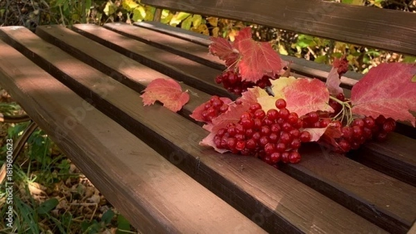Fototapeta Fall leaves and red berries decorate a wooden bench in a serene garden during a sunny afternoon in autumn