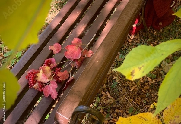 Obraz Colorful leaves and grapes on a wooden bench in an autumn park