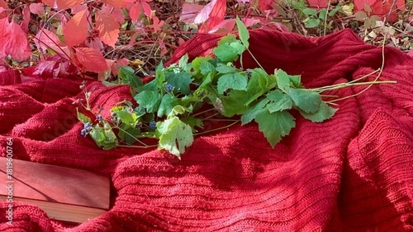 Obraz Vibrant leaves and a cozy blanket create a serene autumn scene in a park setting