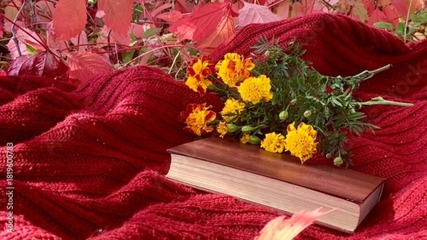 Fototapeta Colorful flowers and a book resting on a cozy red blanket in an autumn setting