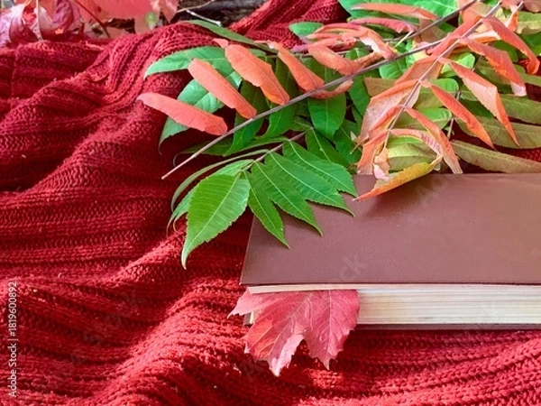 Fototapeta Cozy autumn scene with a book, colorful leaves, and a soft red blanket in a serene outdoor setting