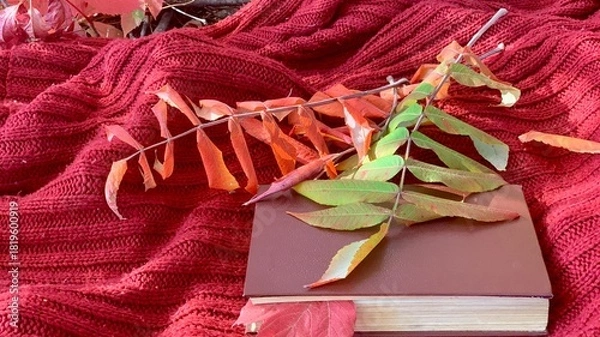 Obraz Colorful autumn leaves arranged on a cozy red blanket with a book beneath them in a serene outdoor setting