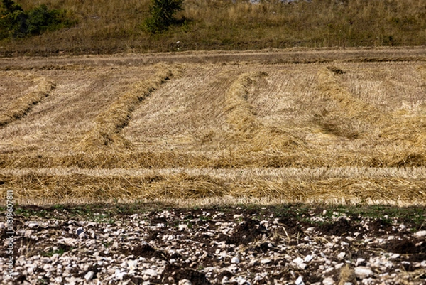 Fototapeta Abstract, linear composition of different soil types and crops, Roccaraso, Abruzzo, Italy