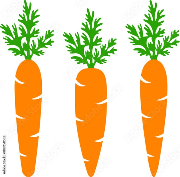 Fototapeta vector set of whole carrots with green top isolated on white background. fresh carrot vegetable for healthy diet