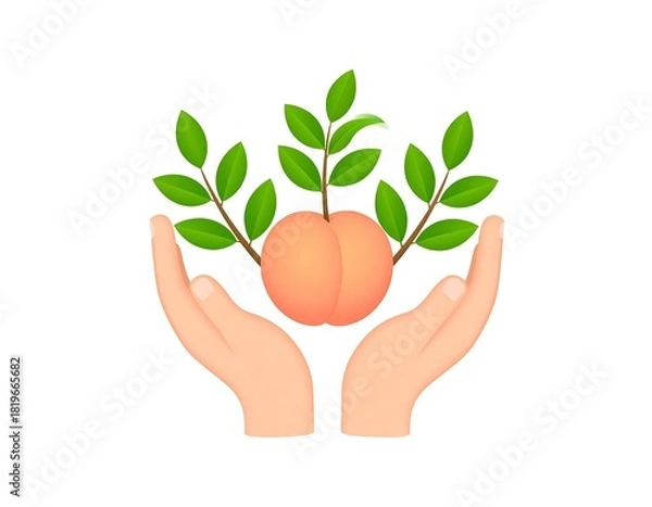 Obraz Hands holding a peach with leaves, symbolizing growth and care.