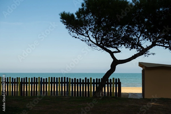 Fototapeta Pineto beach view featuring a silhouetted pine tree and colorful fence along the Adriatic Sea in Pineto, Abruzzo, Italy
