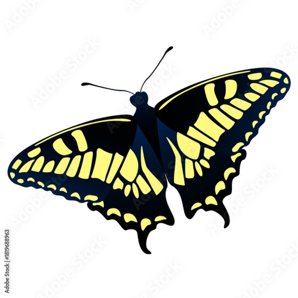 Obraz butterfly isolated on white background