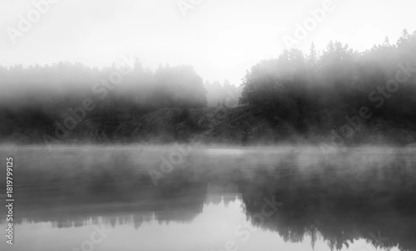 Fototapeta Moody vista on an inlet of the Baltic sea in Sweden, with fog rising off the water, obscuring a forest and reflection