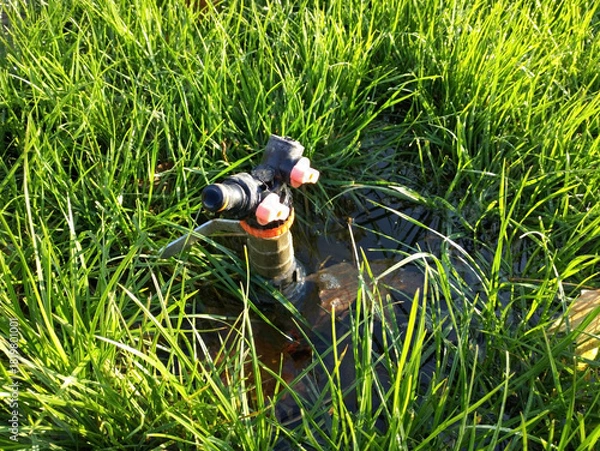 Obraz automatic water sprinkler for watering the lawn or garden. watering the ground with grass seeds. feeding seeds with moisture before germination. growing grass