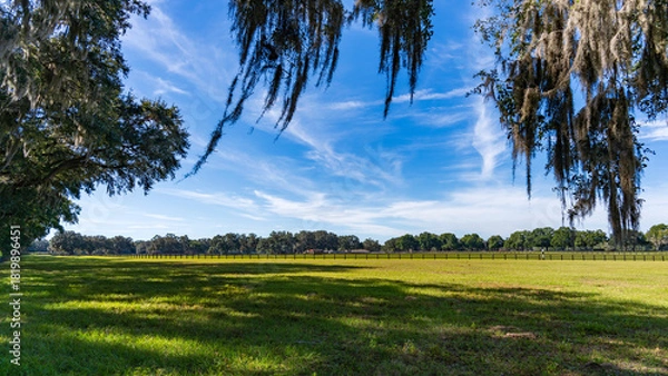 Obraz Beautiful Ocala horse ranch on a blue sky