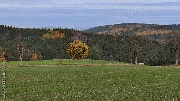 Obraz Herbstlanschaft