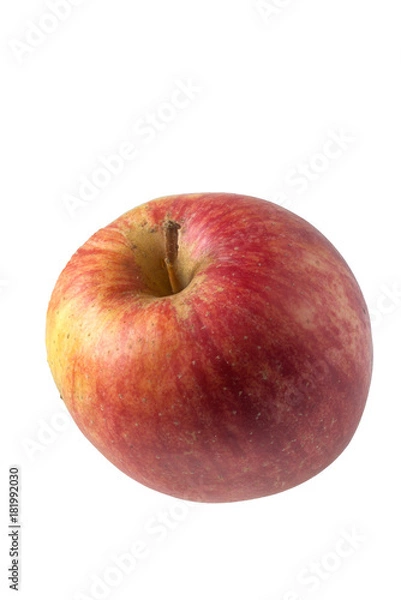 Obraz Apfelsorte "Shampion"