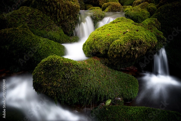 Fototapeta Moss-Covered Rocks and Stream in Argovejo beech Forest, León, Castilla y Leon, Spain