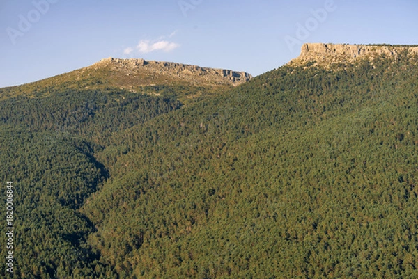 Fototapeta Walkways among rock formations and pine trees with the peaks of Urbion in the background in the Castroviejo nature reserve, in Duruelo de la Sierra, Soria, Castile and Leon, Spain.
