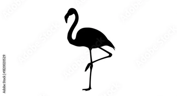 Obraz Silhouette of a flamingo standing on one leg with a curved neck against a white background scene view