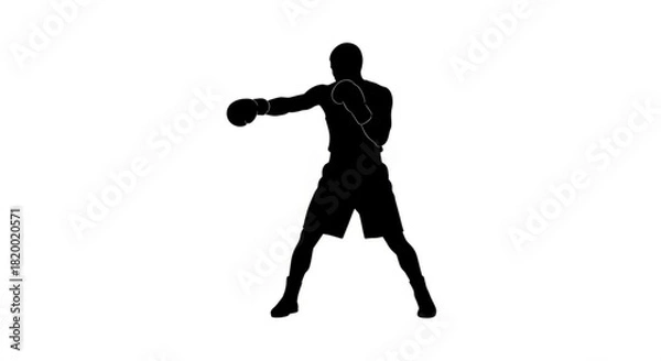 Obraz Silhouette of a boxer in action throwing a punch with boxing gloves on a white background image view