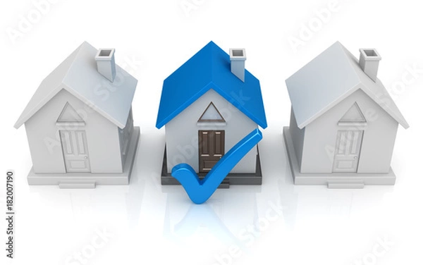 Obraz Choose home concept