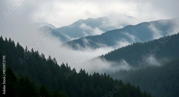 Fototapeta Misty mountain landscape with dense evergreen forests shrouded in ethereal clouds and fog, creating a serene and mystical natural scene
