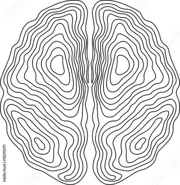 Fototapeta Abstract Top View Brain Contour Lines Vector