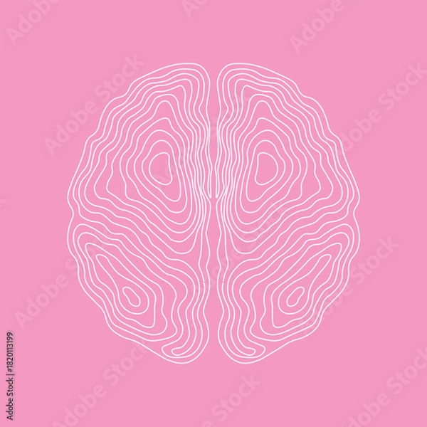 Fototapeta Pink Background Brain Top View Contour Lines Vector