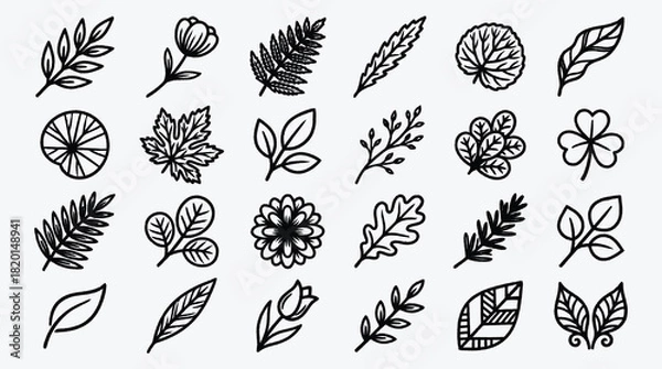 Fototapeta Botanical illustration set of twenty two floral elements nature designs