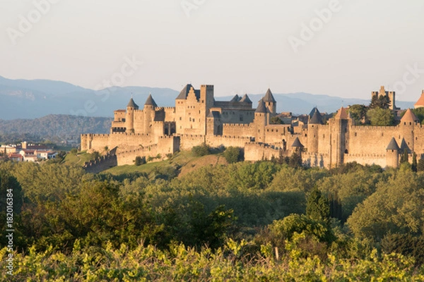 Obraz La Cité de Carcassonne