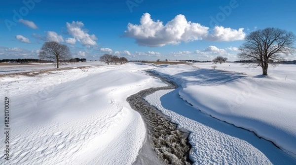 Obraz A serene winter landscape featuring a partially frozen river flowing through snow-covered fields, with solitary bare trees dotting the horizon under a bright bl